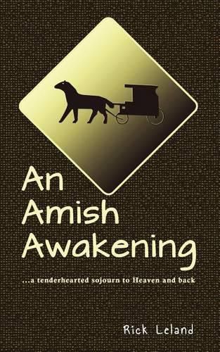 Cover image for An Amish Awakening: a tenderhearted sojourn to Heaven and back