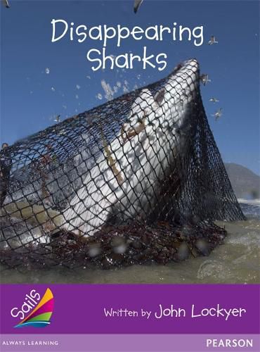 Cover image for Sails Fluency Purple: Disappearing Sharks