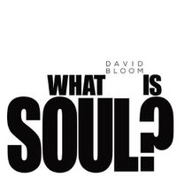 Cover image for What Is Soul?