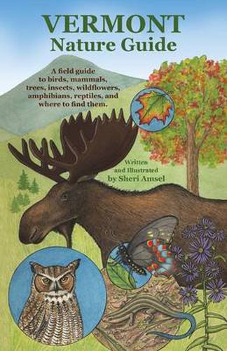 Cover image for Vermont Nature Guide: A field guide to birds, mammals, trees, insects, wildflowers, amphibians, reptiles, and where to find them