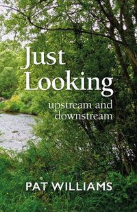 Cover image for Just Looking: upstream and downstream
