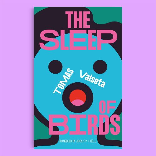 Cover image for The Sleep of Birds