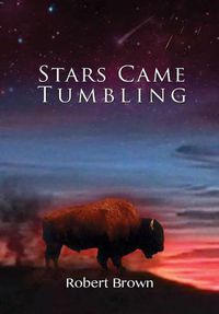 Cover image for Stars Came Tumbling