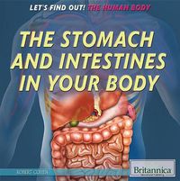 Cover image for The Stomach and Intestines in Your Body