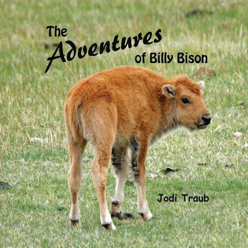 Cover image for The Adventures of Billy Bison