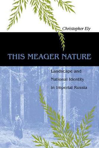 Cover image for This Meager Nature: Landscape and National Identity in Imperial Russia