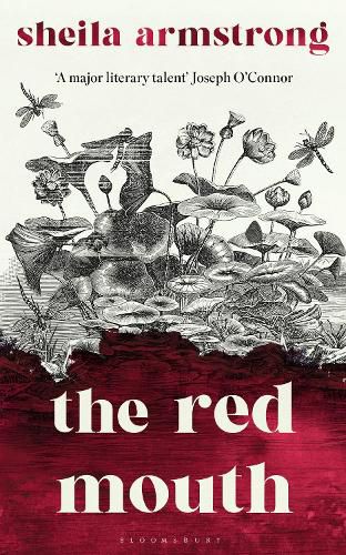 Cover image for The Red Mouth