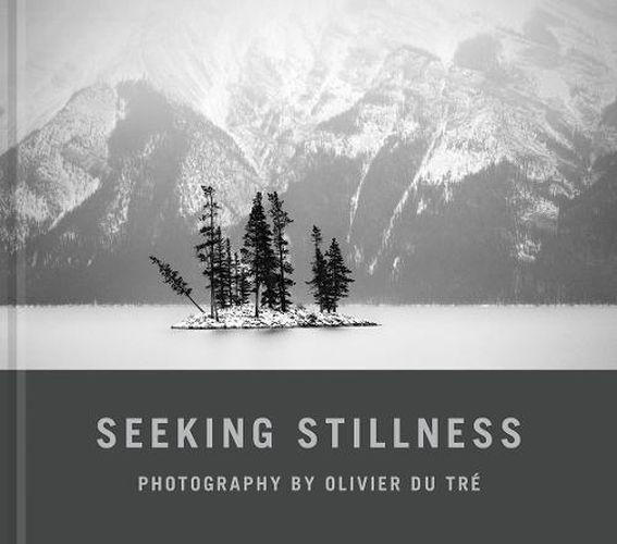 Cover image for Seeking Stillness