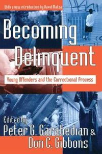 Cover image for Becoming Delinquent: Young Offenders and the Correctional Process