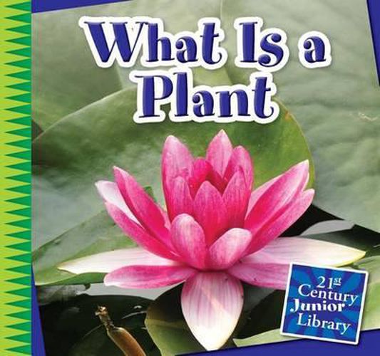 Cover image for What Is a Plant
