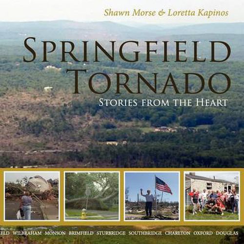 Cover image for Springfield Tornado: Stories From The Heart