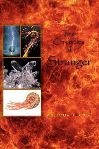 Cover image for The Chronicles of Stranger