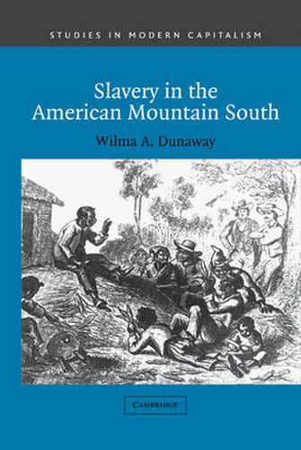 Cover image for Slavery in the American Mountain South