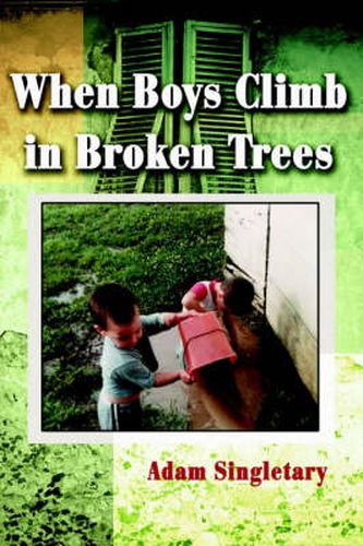 Cover image for When Boys Climb in Broken Trees