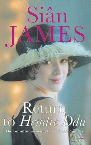 Cover image for Return to Hendre Ddu
