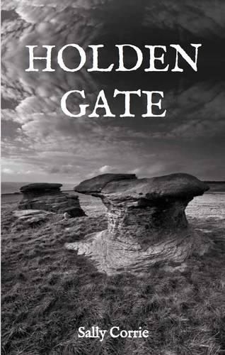 Cover image for Holden Gate