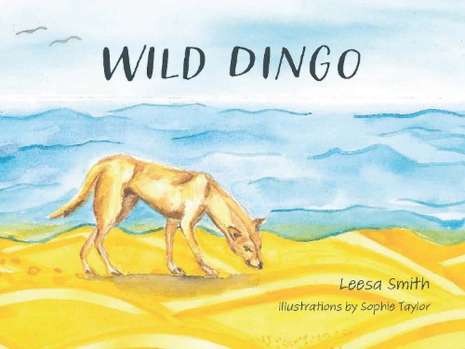Cover image for Wild Dingo