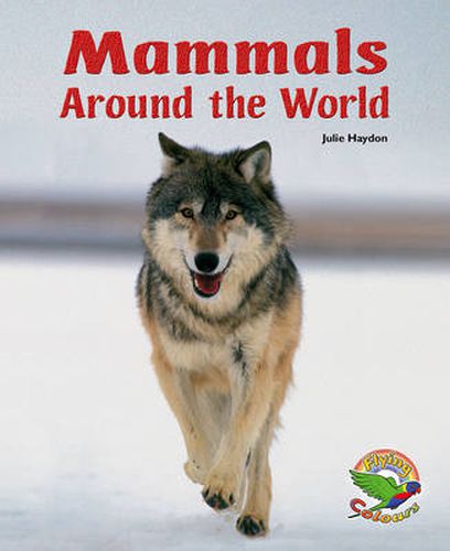 Mammals Around the World