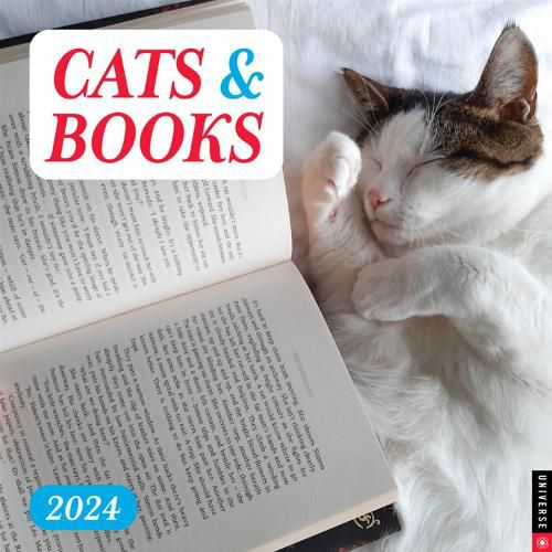 Cover image for Cats & Books 2024 Wall Calendar