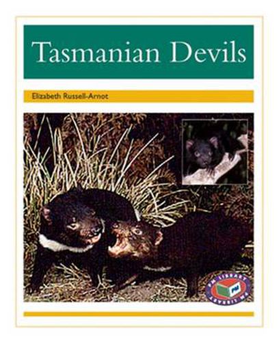 Tasmanian Devils