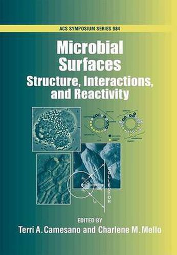 Cover image for Microbial Surfaces: Structure, Interactions and Reactivity