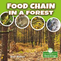 Cover image for Food Chain in a Forest