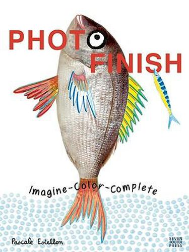 Cover image for Photo Finish: Imagine, Color, Complete