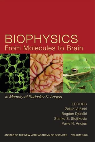 Cover image for Biophysics from Molecules to Brain: In Memory of Radoslav K. Andjus