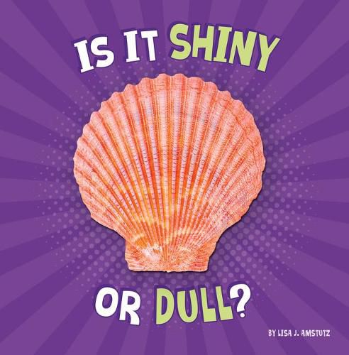 Is It Shiny or Dull?