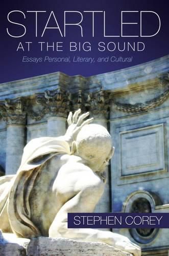 Cover image for Startled at the Big Sound: Essays Personal, Literary, and Cultural