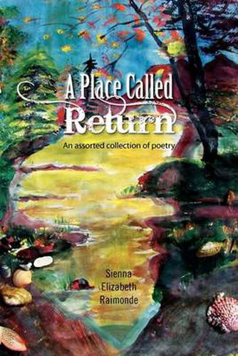 Cover image for A Place Called Return