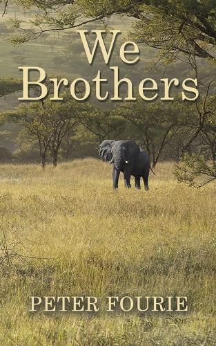 Cover image for We Brothers