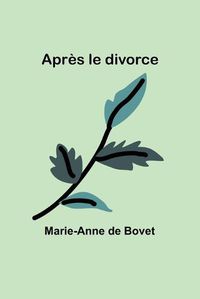 Cover image for Apres le divorce