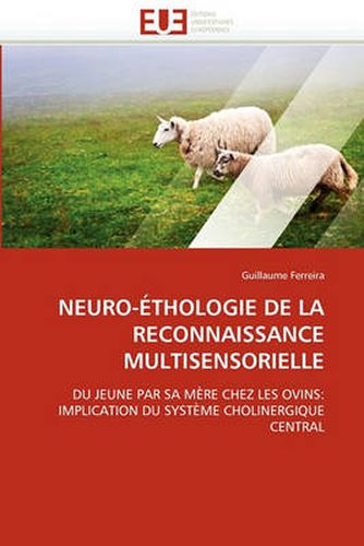 Cover image for Neuro- Thologie de La Reconnaissance Multisensorielle