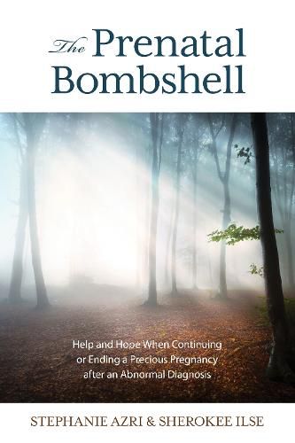 Cover image for The Prenatal Bombshell: Help and Hope When Continuing or Ending a Precious Pregnancy After an Abnormal Diagnosis