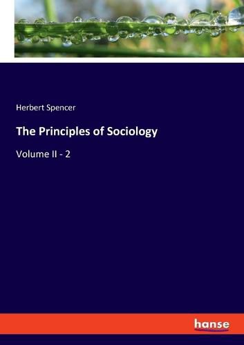 Cover image for The Principles of Sociology