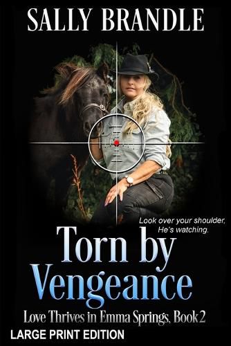 Cover image for Torn By Vengeance