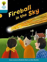 Cover image for Oxford Reading Tree Biff, Chip and Kipper Stories Decode and Develop: Level 9: Fireball in the Sky