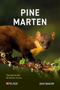 Cover image for Pine Marten