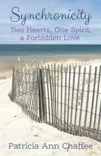 Cover image for Synchronicity