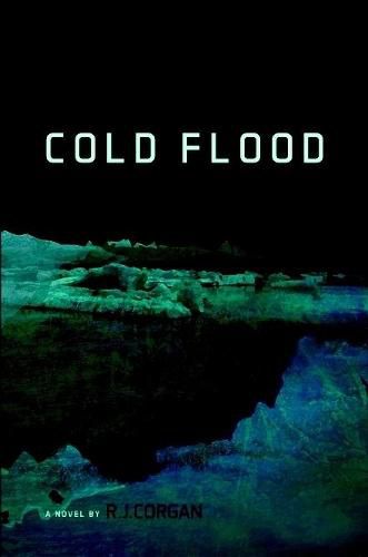 Cover image for Cold Flood