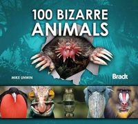 Cover image for 100 Bizarre Animals