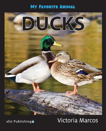 Cover image for My Favorite Animal: Ducks