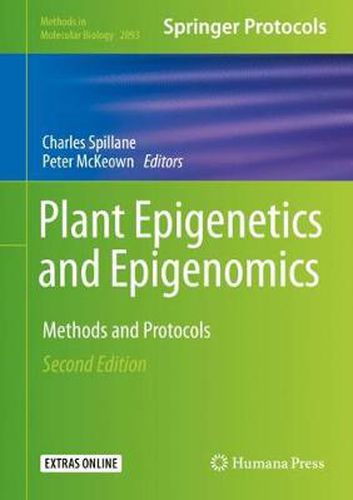 Cover image for Plant Epigenetics and Epigenomics: Methods and Protocols