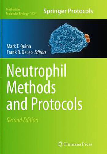 Cover image for Neutrophil Methods and Protocols