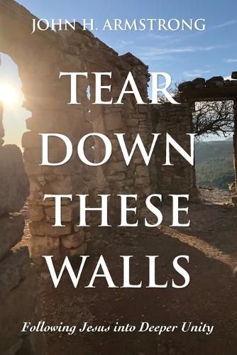 Cover image for Tear Down These Walls: Following Jesus Into Deeper Unity