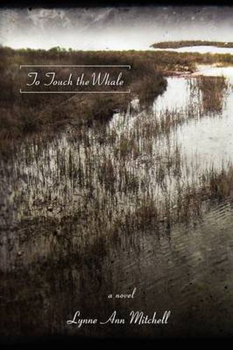 Cover image for To Touch the Whale