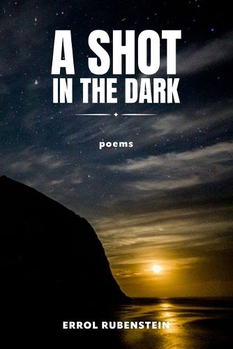 Cover image for A Shot in the Dark