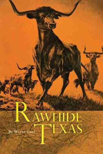 Cover image for Rawhide Texas