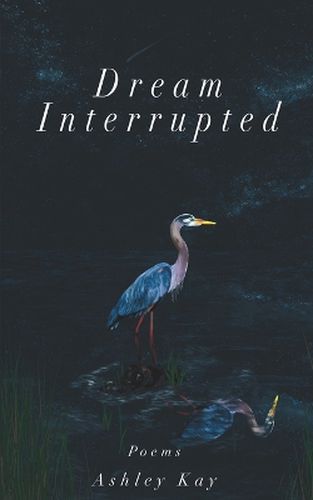 Cover image for Dream Interrupted